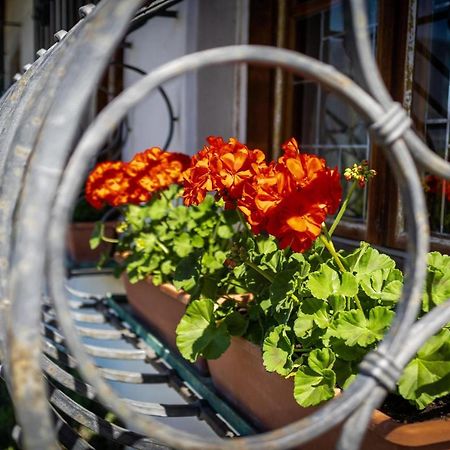 Ferienwohnung Zypresse Meran Zewnętrze zdjęcie