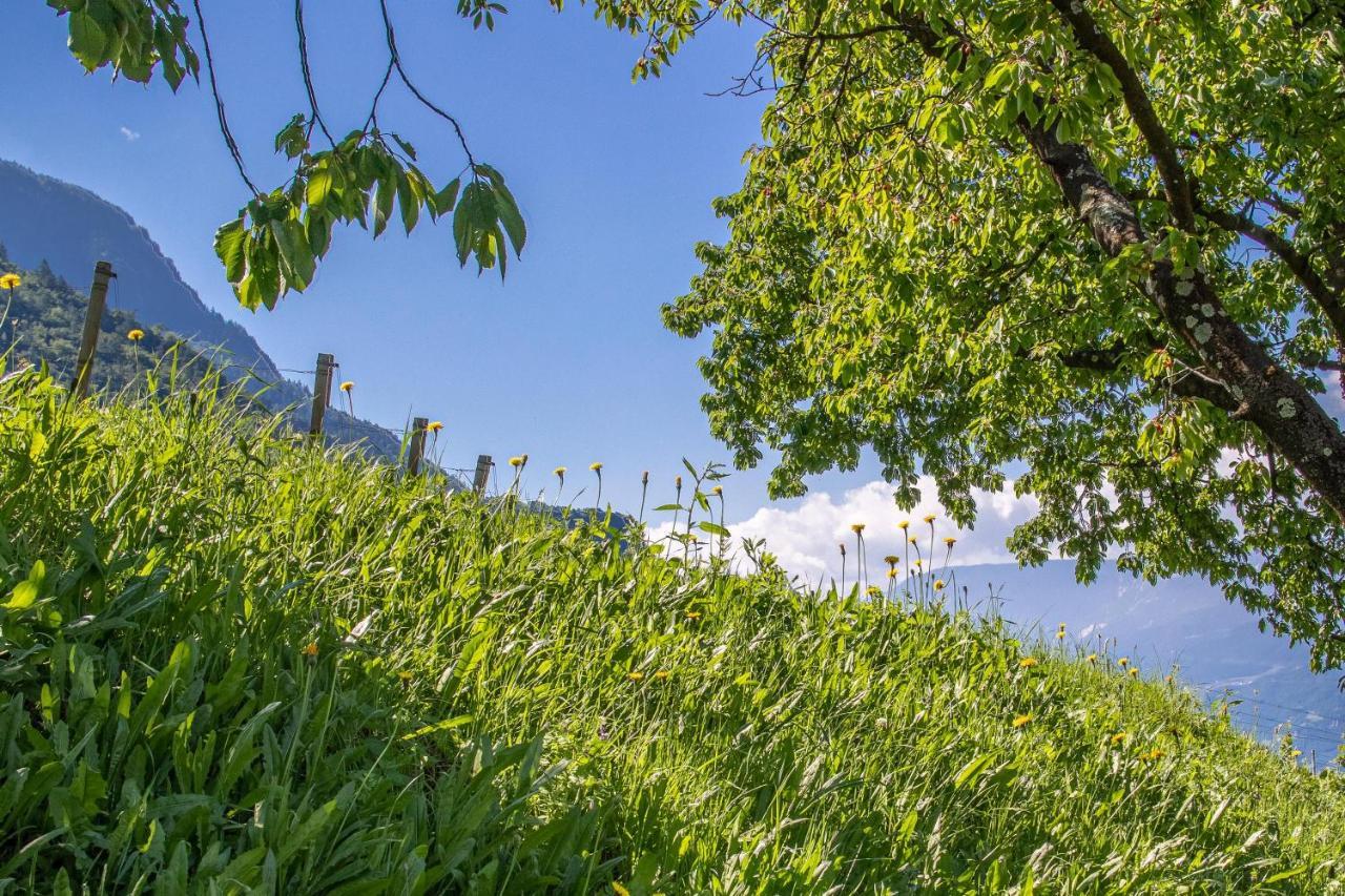 Ferienwohnung Zypresse Meran Zewnętrze zdjęcie